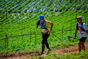 BIB: 
                            <button type="button" onclick="openModal(19164256)" class="btn btn-primary btn-sm float-right btn-popup" data-toggle="modal" data-target=".modal-high-quality">
                        <i class="fas fa-shopping-cart"></i> Add to Cart
                    </button>
                                            <button type="button" onclick="isThisMe(19164256, true)" class="btn btn-success btn-sm float-right btn-popup btn-isme hidden" data-toggle="tooltip" data-placement="bottom" title="นี่คือรูปของคุณใช่ไหม คลิกที่นี่เพื่อเอาเข้าอัลบั้ม">
                        <i class="fas fa-plus"></i> Add to album
                    </button>
                    <button type="button" onclick="isThisMe(19164256, false)" class="btn btn-warning btn-sm float-right btn-popup btn-isnotme hidden">
                        <i class="fas fa-ban"></i> Remove from album
                    </button>